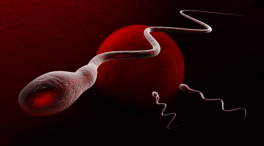 Male infertility treatment in Pune