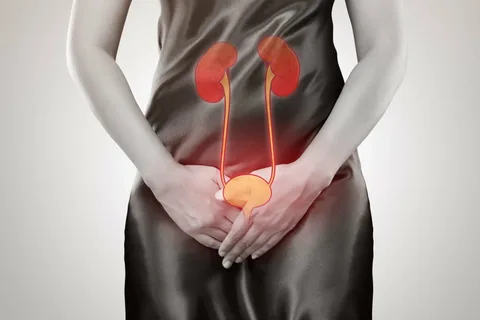 UTI in Menopause: Hormonal Changes and Urinary Health
