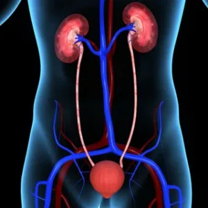 UTI Prevention Tips – Simple Strategies for a Healthier Bladder