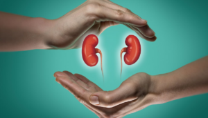 Preventing Recurrence: Strategies for Long-Term Kidney Stone Management