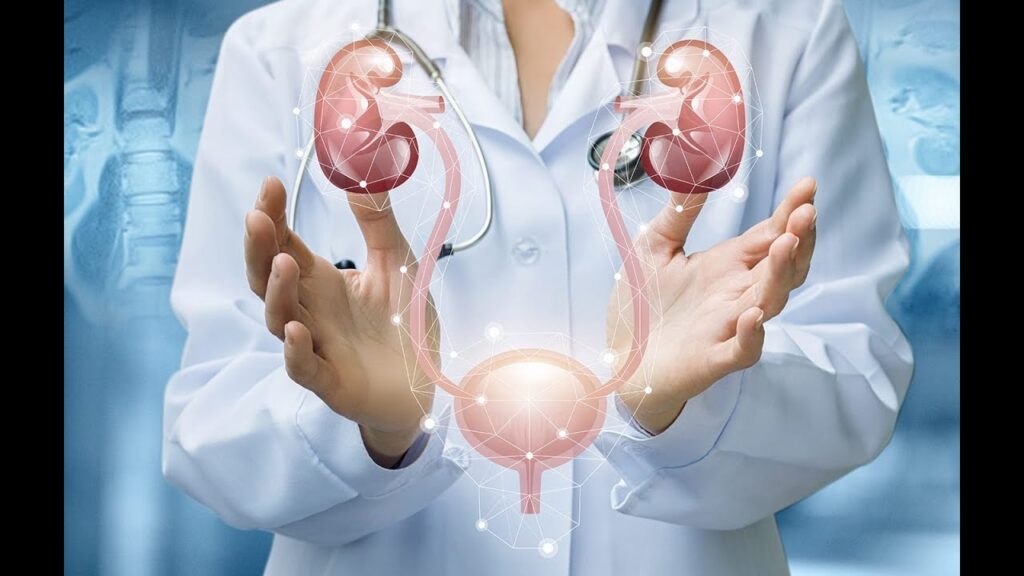 Traveling with Urological Conditions Tips for a Smooth Journey