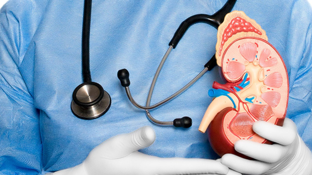 Early Detection Matters: Improving Urinary Cancer Outcomes Through Timely Intervention