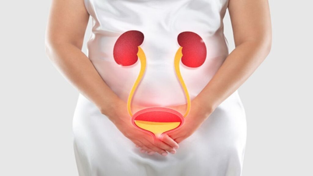 Urinary Incontinence: Causes, Types, and Solutions