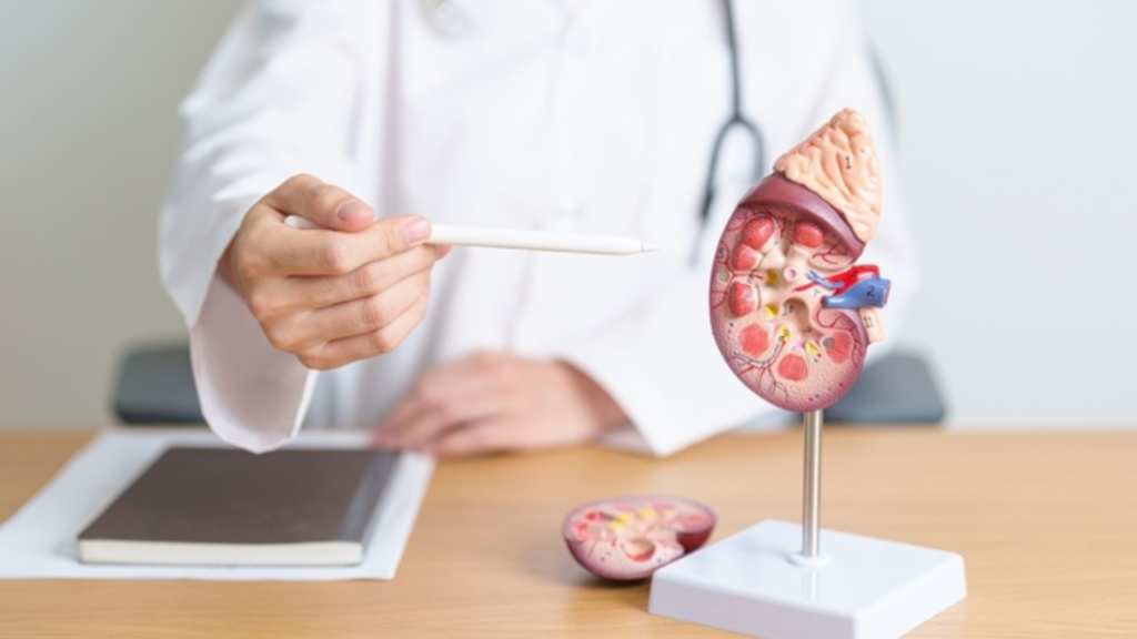 Living with Urinary Cancer: Coping Strategies and Support