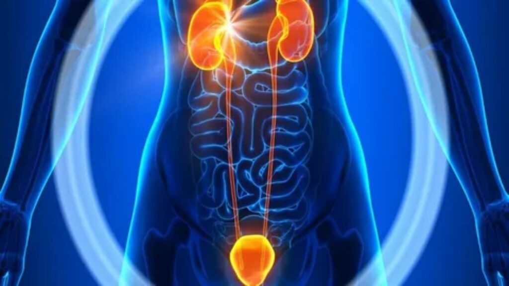 Understanding Uro-Oncology: A Comprehensive Guide