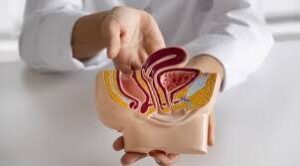 Why Early Diagnosis is So Important to Urological Well-being and How Services Can Assist